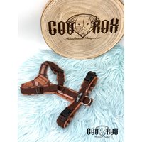 Softshell-Hundegeschirr/Y-Geschirr/ Führgeschirr Gepolstert Individuell Zusammenstellbar Soft Auch Als Set Mit Leine U.o. Halsband Softshell-Hundegeschirr/Y-Geschirr/ Führgeschirr Gepolstert Individuell Zusammenstellbar Soft Auch Als Set Mit Leine U.o. Halsband von CooRox