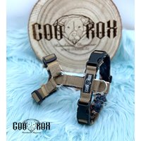 Softshell-Hundegeschirr/Y-Geschirr/ Führgeschirr Gepolstert Individuell Zusammenstellbar Soft Auch Als Set Mit Leine U.o. Halsband Softshell-Hundegeschirr/Y-Geschirr/ Führgeschirr Gepolstert Individuell Zusammenstellbar Soft Auch Als Set Mit Leine U.o. Halsband von CooRox