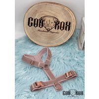Softshell-Hundegeschirr/Y-Geschirr/Führgeschirr/Gepolstert/Roségold/Individuell Zusammenstellbar/Soft/Auch Als Set Mit Leine U.o. Halsband von CooRox
