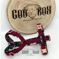 Softshell-Hundegeschirr/Y-Geschirr/Führgeschirr/Gepolstert/Roségold/Individuell Zusammenstellbar/Soft/Auch Als Set Mit Leine U.o. Halsband von CooRox
