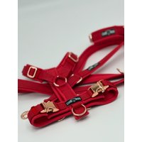 Softshell-Hundegeschirr/Y-Geschirr/Führgeschirr/Gepolstert /Individuell Zusammenstellbar/Soft/Auch Als Set Mit Leine U.o. Halsband Softshell-Hundegeschirr/Y-Geschirr/Führgeschirr/Gepolstert /Individuell Zusammenstellbar/Soft/Auch Als Set Mit Leine U.o. Halsband von CooRox