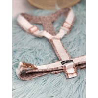 Softshell-Hundegeschirr/Y-Geschirr/Führgeschirr/Gepolstert /Individuell Zusammenstellbar/Soft/Auch Als Set Mit Leine U.o. Halsband von CooRox
