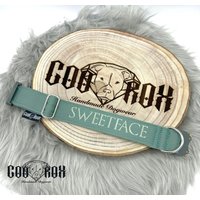 Tactial Hundehalsband Personalisierbar Mit Name Traum in Altrosa Cobra-Schnalle Von Austrialpin 4cm Breite Softshell Gepolstert von CooRox