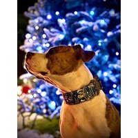 x-Mas Elf Halsband Hunde Weihnachtshalsband Individuell Mit Cobra Schnalle x-Mas Elf Halsband Hunde Weihnachtshalsband Individuell Mit Cobra Schnalle von CooRox