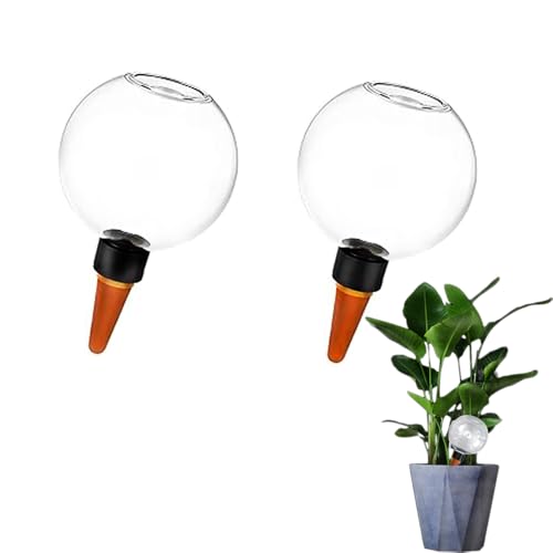 COOGIME Bewässerungskugel 500ml, Automatischer Pflanzenbewässerer Kugel, Transparent Wasserspender - Intelligente Tropfbewässerung für Urlaub, Büro & Faule Gärtner, 2 Stück(500ml) von Coogime