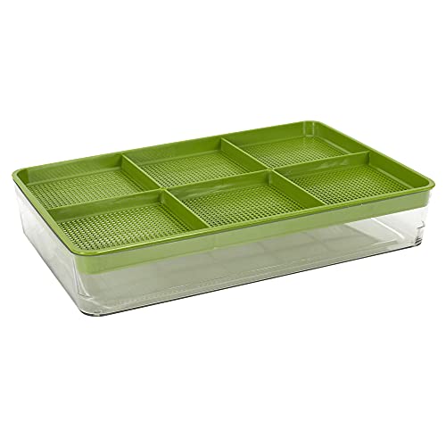 COOK CONCEPT - Kb6094 – Keimkasten für Samen, 20,5 x 5,5 x 30 cm, für Küche, Konservierung, anderes Zubehör von COOK CONCEPT