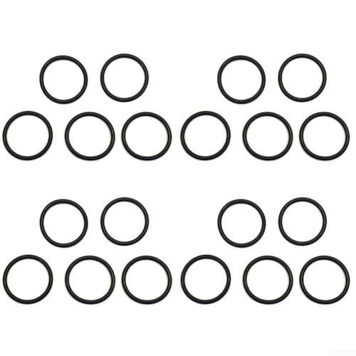Poolpumpen-O-Ring-Ersatz-Dichtungssatz, Gummi-Pooldichtung für 3,8 cm Schlauchanschluss, für Intex C330 C530 C1000 Filterpumpen (20 Stück) von CookiBlend
