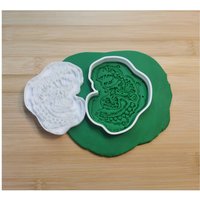 Uraltes Dinosaurier Fossil Als Ausstechform Und Stempel von CookieMonsterModels