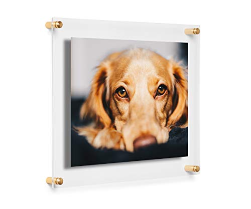 Cool Modern Frames Clear Floating Doppelter Acryl-Bilderrahmen, Goldfarbene Hardware, 8"x10" von Cool Modern Frames