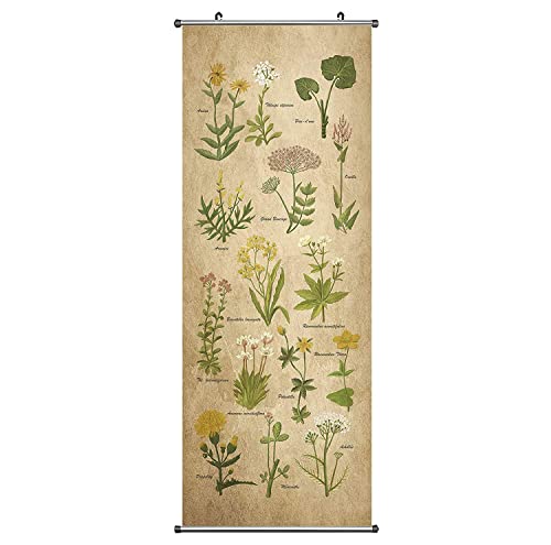 CoolChange Herbarium Kakemono | Rollbild aus Stoff 100x40cm | Motiv: Wildkräuter von CoolChange