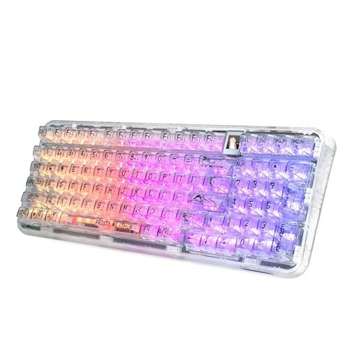 CoolKiller CK98 Hot Swappable Mechanical Keyboard with OLED Display, Transparent RGB Custom Keyboard with BT5.1/2.4G/USB-C Wireless Gaming Gasket Structures for Windows/Mac (White,Ice Switches) von CoolKiller