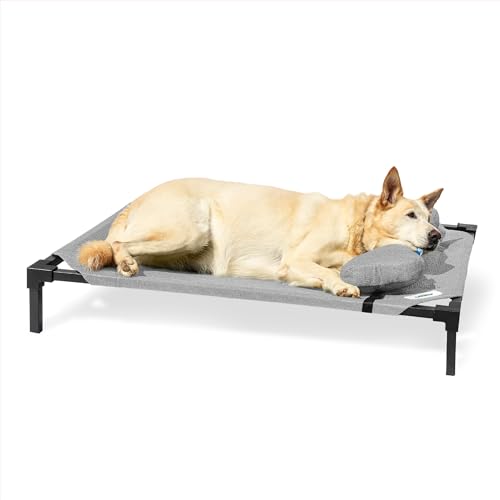 Coolaroo Pro erhöhtes Hundebett mit HeatShield-Gewebe – fortschrittliches kühlendes erhöhtes Kinderbett für kleine und mittelgroße Rassen, leicht zu reinigen, Zugang zum Boden, Bonus Nackenrolle von Coolaroo