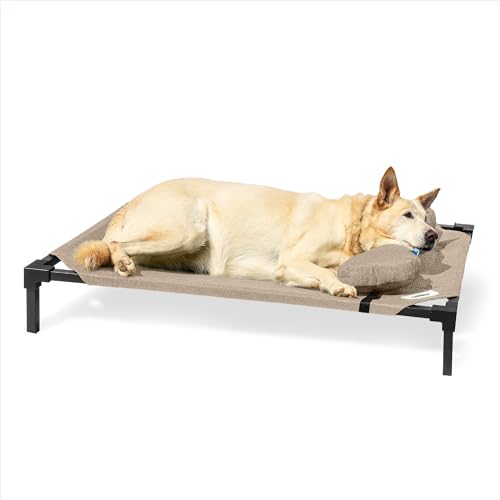 Coolaroo Pro erhöhtes Hundebett mit HeatShield-Gewebe – fortschrittliches kühlendes erhöhtes Kinderbett für kleine und mittelgroße Rassen, leicht zu reinigen, Zugang zum Boden, Bonus Nackenrolle von Coolaroo