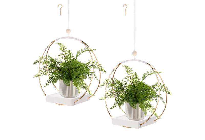 Coonoor Blumenampel Hängende Blumenampel Metall Blumentopf (2 St), Schwarz Pflanzenampel für Innen Außen Terrasse Balkon von Coonoor