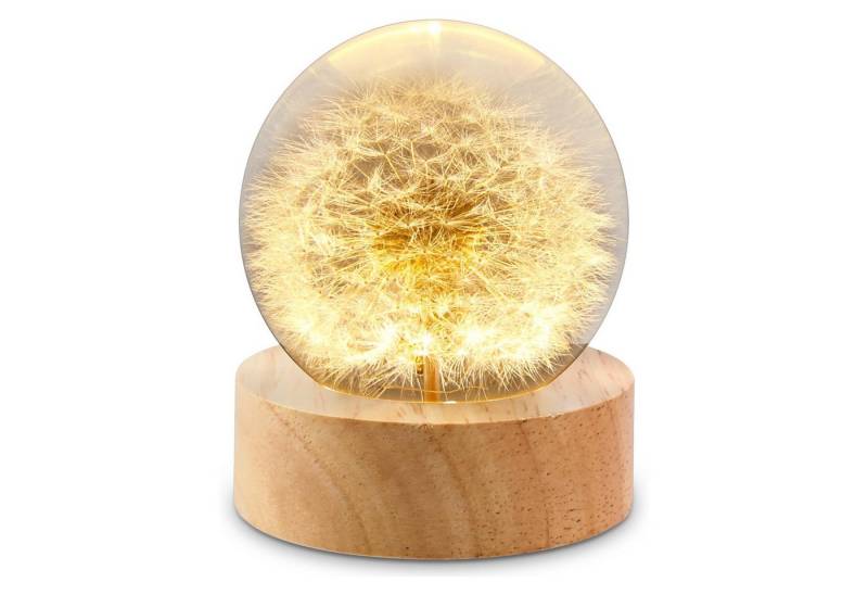 Coonoor Nachtlicht Ewige Blumen Kristallkugel Nachtlicht, USB-betrieben, LED fest integriert, LED-Glaskugel Nachtlampe, romantische Zimmerdekoration von Coonoor