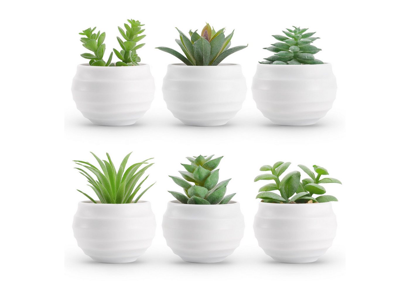 Künstliche Zimmerpflanze 6-teiliges Set künstlicher Blumentöpfe, Mini- Kunstpflanzen mit Topf, Coonoor, Tischdekoration Künstliche Zimmerpflanze für Zuhause/Büro/Draußen Künstliche Zimmerpflanze 6-teiliges Set künstlicher Blumentöpfe, Mini- Kunstpflanzen mit Topf, Coonoor, Tischdekoration Künstliche Zimmerpflanze für Zuhause/Büro/Draußen von Coonoor