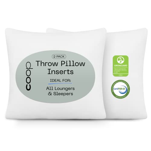 Coop Home Goods Wurfkissen-Einsatz (2 Stück) – 45,7 x 45,7 cm für den Innenbereich, dekorative Kissen, verstellbare Memory-Schaum-Füllung, leichte Daunen-Alternative, Set mit 2 Akzentkissen für Sofa, Bett, Couch von Coop Home Goods