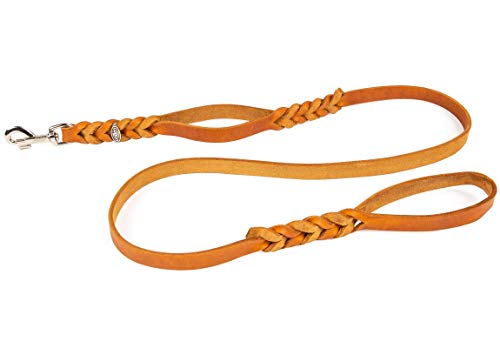 CopcoPet Hundeleine aus Leder mit 2 Handgriffen – 2 m x 20 mm in Cognac – Robuste Lederleine mit Chrom-Karabiner für große Hunde – Trainingsleine, Hausleine, für Halsband & Geschirr von CopcoPet
