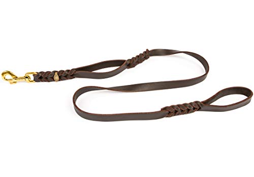 CopcoPet Hundeleine aus Leder mit 2 Handgriffen – 1,50 m x 12 mm in Braun – Robuste Lederleine mit Messing-Karabiner für mittelgroße Hunde – Trainingsleine, Hausleine, für Halsband & Geschirr CopcoPet Hundeleine aus Leder mit 2 Handgriffen – 1,50 m x 12 mm in Braun – Robuste Lederleine mit Messing-Karabiner für mittelgroße Hunde – Trainingsleine, Hausleine, für Halsband & Geschirr von CopcoPet