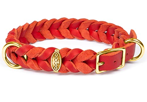 CopcoPet - Fettleder Halsband, Rot, 20 mm Breite, 40-44 cm Halsumfang, geflochten mit Dornschließe Messing, geflochtenes Hundehalsband, Handarbeit aus Deutschland, hochwertiges Rindsleder von CopcoPet