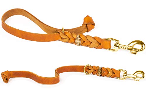 Fettleder Kurzführer, Führleine, Kurzleine (35 cm x 10 mm Messing, Cognac) Fettleder Kurzführer, Führleine, Kurzleine (35 cm x 10 mm Messing, Cognac) von CopcoPet