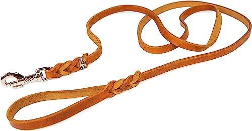 CopcoPet - Fettlederleine 1,35 m x 15 mm, Cognac, Hunde-Leine aus Leder mit verchromtem Karabiner + Ring, geflochtene Hunde-Führleine Leder von CopcoPet