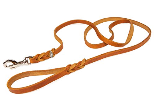 CopcoPet - Fettlederleine 1 m x 12 mm, Cognac, Hunde-Leine aus Leder mit verchromtem Karabiner, geflochtene Hunde-Führleine Leder von CopcoPet