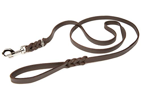 CopcoPet - Fettlederleine 2,2 m x 15 mm, Cognac, Hunde-Leine aus Leder mit verchromtem Karabiner, geflochtene Hunde-Führleine Leder von CopcoPet