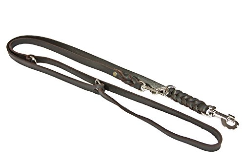 CopcoPet – Fettlederleine für Hunde – 3-Fach verstellbare Hundeleine aus weichem Leder mit Karabinern & Beschlägen aus Chrom – geflochtene Führleine 100% Handmade in Germany (2,40m x 18mm | Braun) von CopcoPet