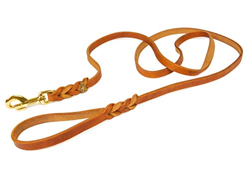 CopcoPet - Fettlederleine mit Messing Karabiner,+ Ring, Cognac, 1,35 m x 10 mm von CopcoPet