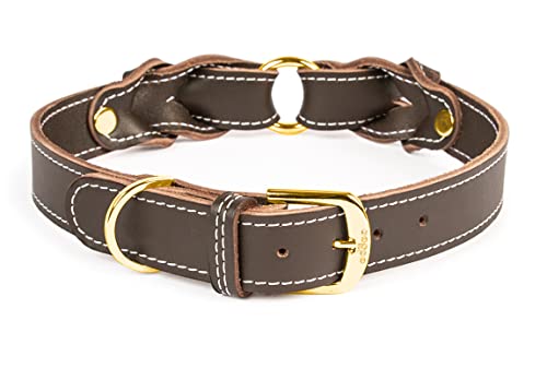 CopcoPet Hundehalsband Heidi aus Leder Braun mit Ziernaht Beschläge Messing 20 mm Breite 35-40 cm Halsumfang von CopcoPet