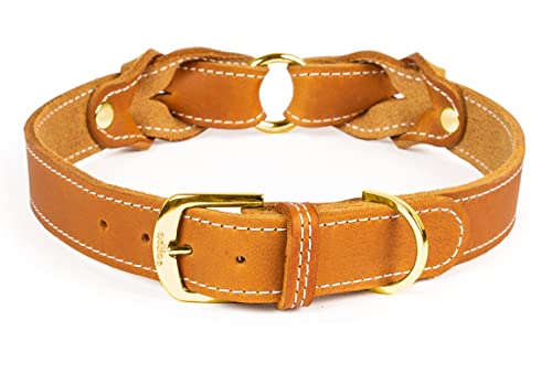 CopcoPet Hundehalsband Heidi aus Leder Cognac mit Ziernaht Beschläge Messing 20 mm Breite 30-35 cm Halsumfang von CopcoPet