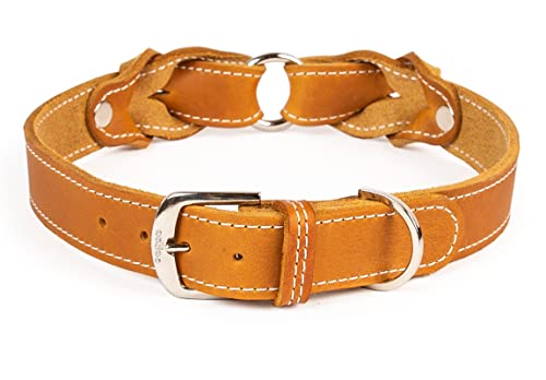 CopcoPet Hundehalsband Heidi aus Leder Cognac mit Ziernaht Beschläge Verchromt 20 mm Breite 30-35 cm Halsumfang von CopcoPet