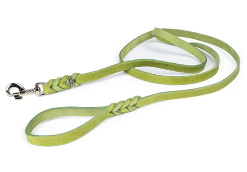 CopcoPet - Hundeleine Grün 2,5 m x 8 mm aus hochwertigem Rindsleder - Weiche Fettlederleine mit Chrom Karabiner - Geflochtene Führleine für Hunde - Hunde Zubehör 100% Handmade in Germany von CopcoPet