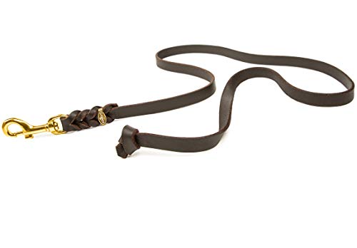 CopcoPet Fettlederleine Hund – geflochtene Lederleine ohne Handschlaufe, Führleine & Trainingsleine aus robustem Rindsleder mit Messing-Karabiner, 3m x 15 mm, Braun, für kleine & große Hunde CopcoPet Fettlederleine Hund – geflochtene Lederleine ohne Handschlaufe, Führleine & Trainingsleine aus robustem Rindsleder mit Messing-Karabiner, 3m x 15 mm, Braun, für kleine & große Hunde von CopcoPet