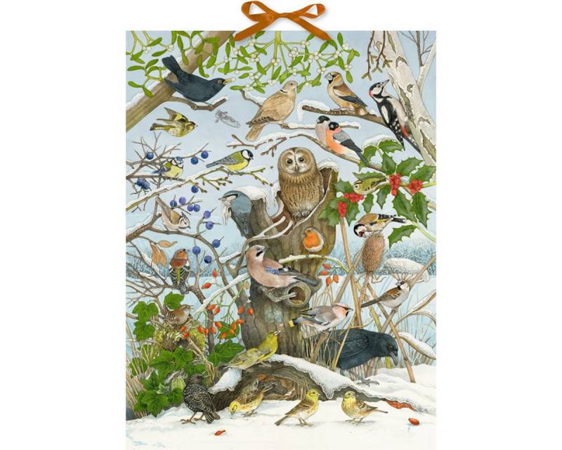 Coppenrath Adventskalender Sound-Adventskalender: Unsere Vögel im Winter Mit 24 Vogelstimmen h Coppenrath Adventskalender Sound-Adventskalender: Unsere Vögel im Winter Mit 24 Vogelstimmen h von Coppenrath
