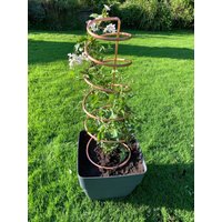 Handgefertigtes Rankgitter/Aus Kupfer Handgefertigtes Rankgitter/Aus Kupfer von CopperConstructions