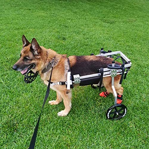 Cora Pet Hund Rollstuhl Einstellbare Gehhilfe Hundegehilfe Rollwagen 2 Räder Hunderollstuhl, Behinderte Hund Gehweg Auto Geeignet Für Hinterbeine Für Haustiere Rehabilitation Für Kleine Hunde, 0–60kg von Cora Pet