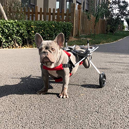 Cora Pet Hunde Wagen Rollstuhl Hunderollstuhl für Hinterbein/Hintere Füße Hund Katze Kaninchen, Gehhilfe Hundegehilfe Hunderollwagen, Dog Wheelchair für Haustier mit Einem Gewicht von 3-10 kg von Cora Pet