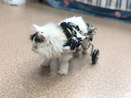 Cora Pet Rollstuhl Fahrradanhänger Hunderollstuhl für Kleiner Hund Katze Kaninchen Hinterbein/Hintere Füße, Hunderollwagen Gehhilfe Hundegehilfe, Wagen für Haustier von Cora Pet