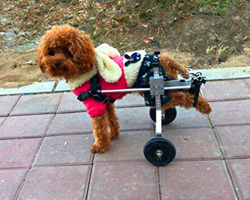 Cora Pet Rollstuhl Rollwagen für klein Hunde Katze Hase, Hinterbein/Hintere Füße, Hunderollstuhl Gehhilfe Hundegehilfe Hunderollwagen, Dog Wheelchair für Haustier Gewicht innerhalb von 11 Pfund von Cora Pet