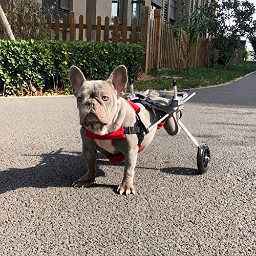 Cora Pet Wagen Hunderollstuhl Rollstuhl Dog Wheelchair für Hunde Katze Hase, Hinterbein/Hintere Füße, Rollwagen Gehhilfe Hundegehilfe Hunderollwagen, Haustier von 2~44 lb von Cora Pet