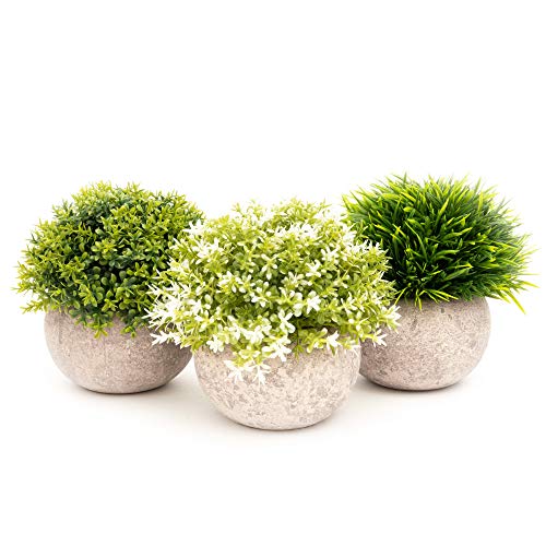 Coradoma Künstliche Pflanzen im Topf 3er Set Wohnzimmer Deko modern | Kunstpflanze Mini Sukkulente Küchendeko Blumen | Kunstblumen Fensterbank Schreibtisch Wanddeko Balkon Büro Schlafzimmer Hochzeit von Coradoma