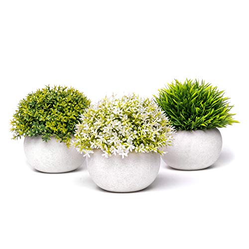 Coradoma Künstliche Pflanzen im Topf 3er Set Wohnzimmer Deko modern | Kunstpflanze Mini Sukkulente Küchendeko Blumen | Kunstblumen Fensterbank Schreibtisch Wanddeko Balkon Büro Schlafzimmer Hochzeit von Coradoma
