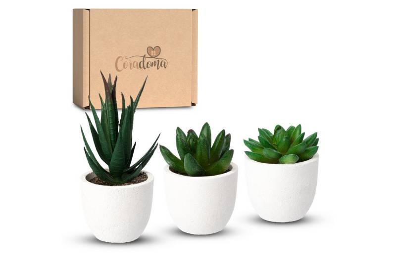 Kunstpflanze Künstliche Pflanzen im Topf Mini Set Dekoration Modern Wohnzimmer Sukkulente, Coradoma Kunstpflanze Künstliche Pflanzen im Topf Mini Set Dekoration Modern Wohnzimmer Sukkulente, Coradoma von Coradoma
