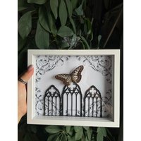 Gerahmter Ideopsis Juventa Ishma Schmetterlingsrahmen Mit Gothic Kirchen Fenstern Halloween Decor Gerahmter Ideopsis Juventa Ishma Schmetterlingsrahmen Mit Gothic Kirchen Fenstern Halloween Decor von CorexxCuriosities