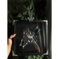 Gerahmter Urania Leilus Mit Silbernen Ecken Witchy Decor Halloween Gothic Entomology Gerahmter Urania Leilus Mit Silbernen Ecken Witchy Decor Halloween Gothic Entomology von CorexxCuriosities