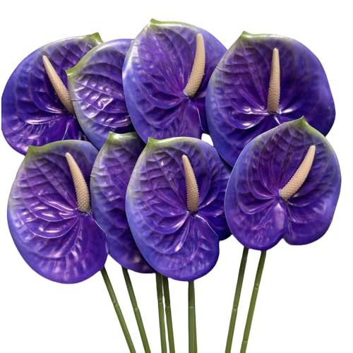 Corkwaw Künstliche Anthurium-Blumen, fühlen sich echt an, für Tischdekoration, Arrangement und Brautschmuck, Hochzeit, Festival, Dekoration, Blumenarrangement, Violett, 8 Stück Corkwaw Künstliche Anthurium-Blumen, fühlen sich echt an, für Tischdekoration, Arrangement und Brautschmuck, Hochzeit, Festival, Dekoration, Blumenarrangement, Violett, 8 Stück von Corkwaw