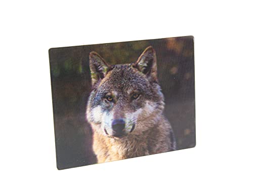 3 D Magnet Wolf 9x7cm Kühlschrankmagnete Tiere Wölfe von Cornelissen