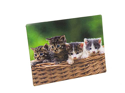 3D Magnet Kätzchen 3D Magnet Kätzchen von Cornelissen